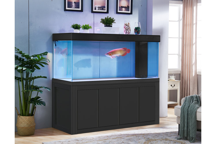 Pets shops at home small fish tanks